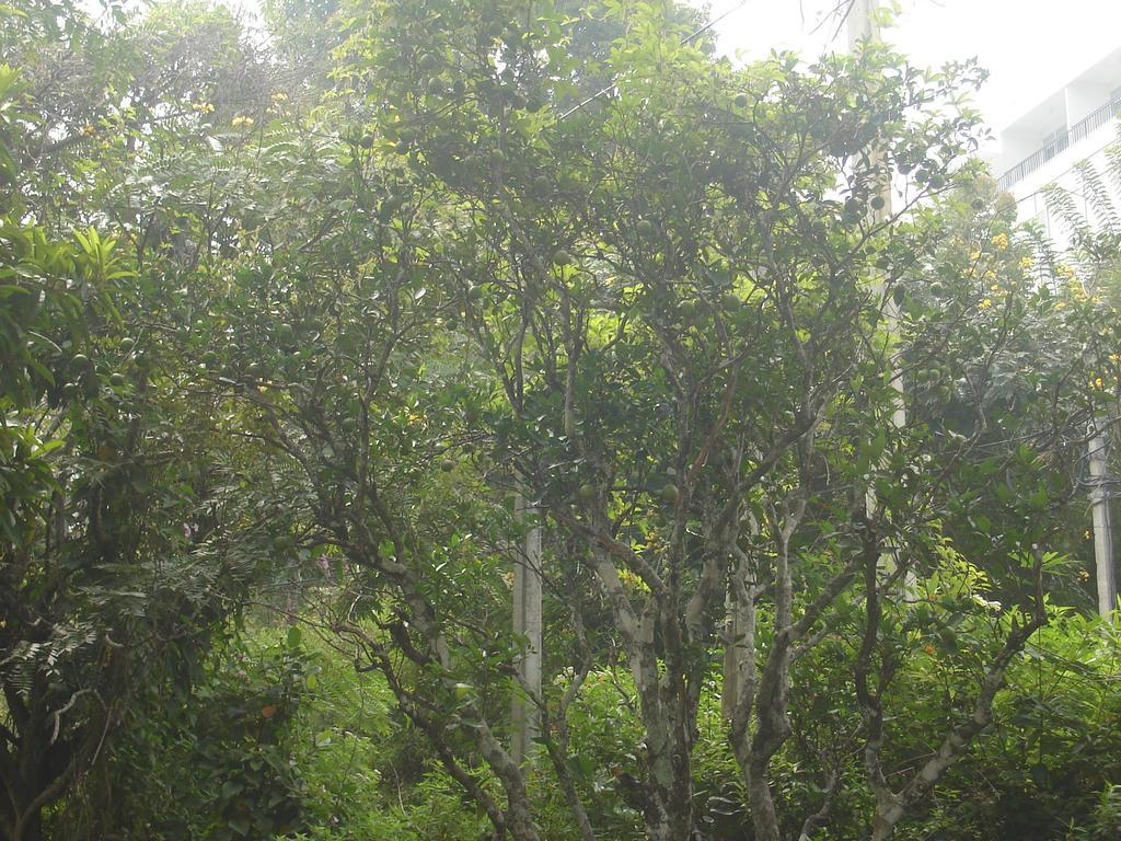 فندق إيلافي  Ambiente المظهر الخارجي الصورة